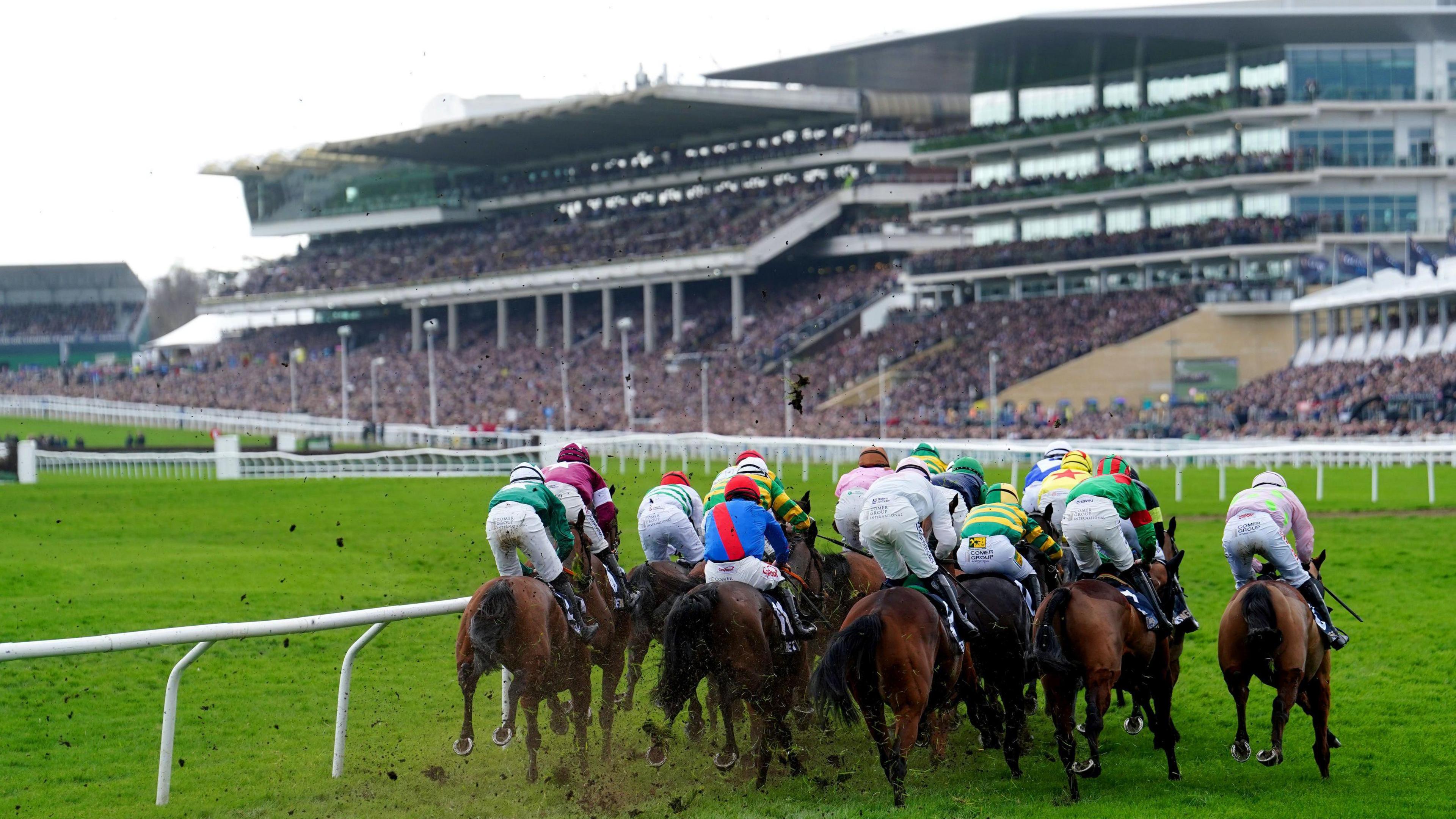 Cheltenham Festival Betting Guide – Betting on Cheltenham Races