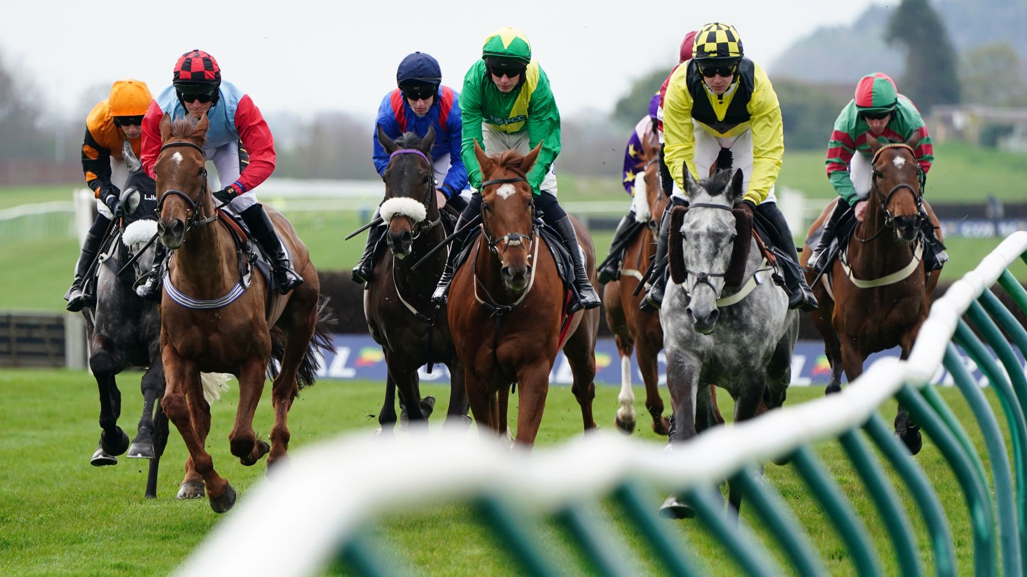 Horse Racing Betting Guide – How to Bet on Horses